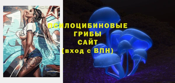 прущие крисы Алзамай
