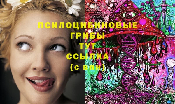 дмт Алексеевка