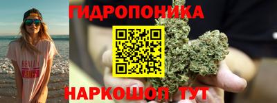 spice Лесосибирск