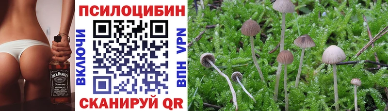 Галлюциногенные грибы Psilocybe  Добрянка 