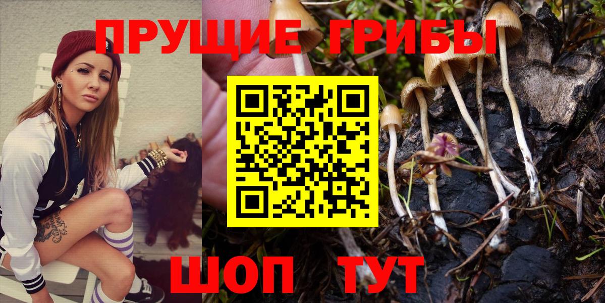 Добрянка  Галлюциногенные грибы Psilocybine cubensis  Вход с VPN 